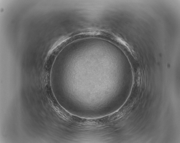 X0000086771448200704131129