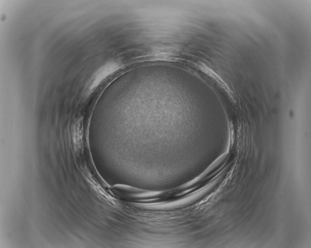 X0000086771450200704131129