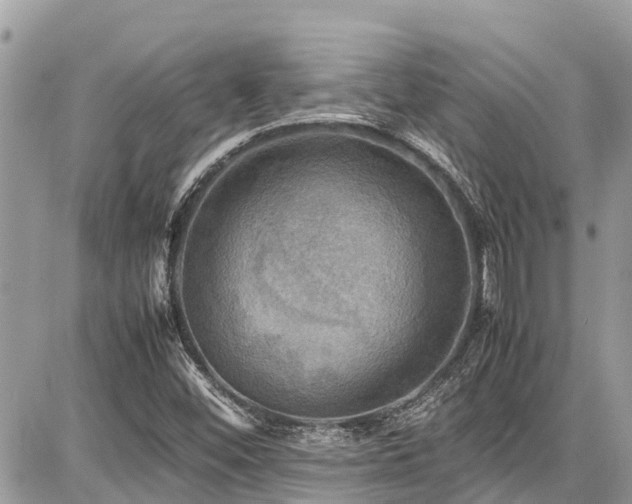 X0000086771452200704131129