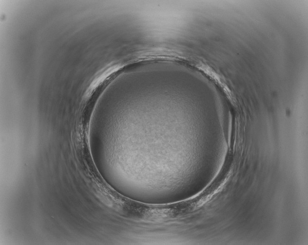 X0000086771453200704131129