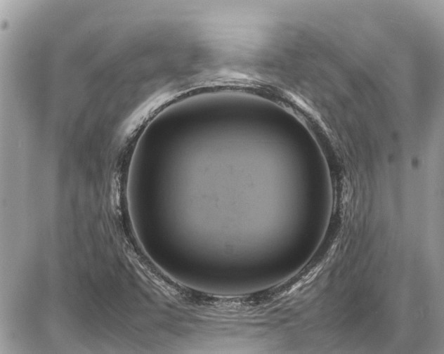 X0000086771455200704131129