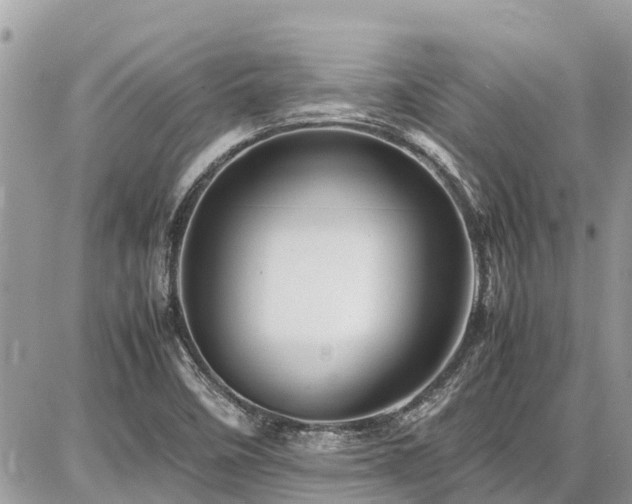 X0000086771458200704131129