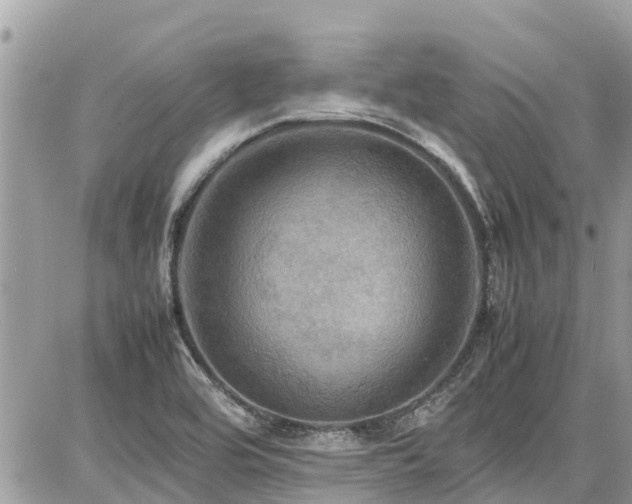 X0000086771464200704131129