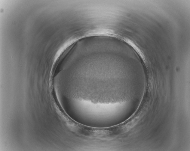 X0000086771469200704131129