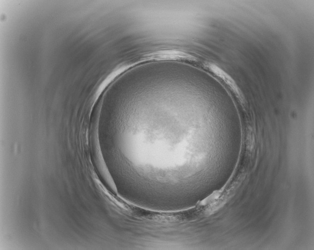 X0000086771473200704131129