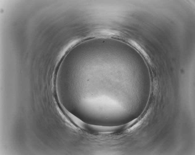 X0000086771477200704131129