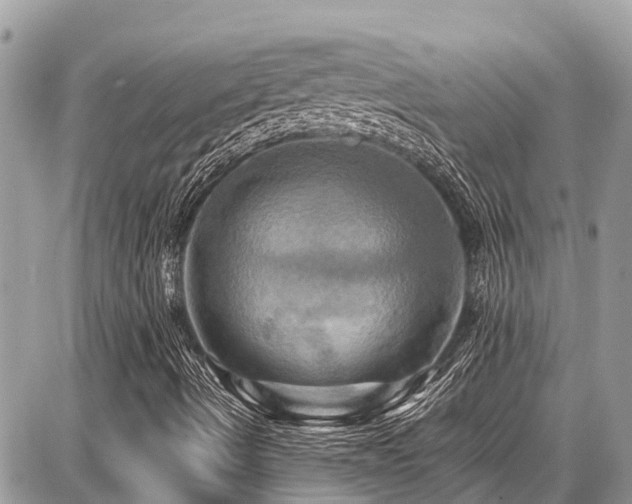 X0000086771490200704131128