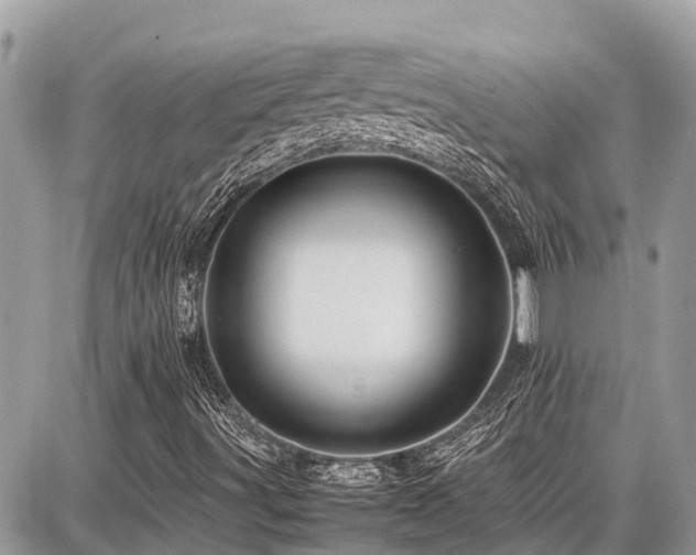 X0000086771491200704131128