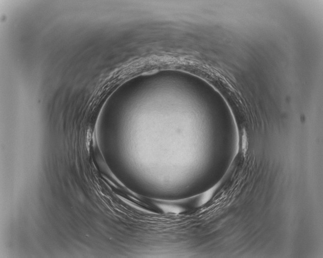 X0000086771492200704131128