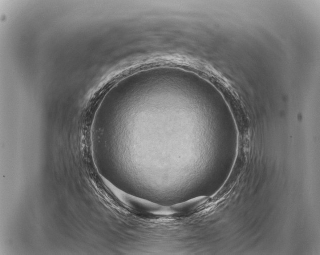 X0000086771496200704131128