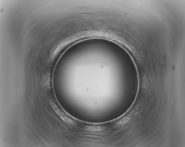 X0000086771499200704131128