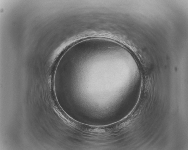 X0000086771503200704131128