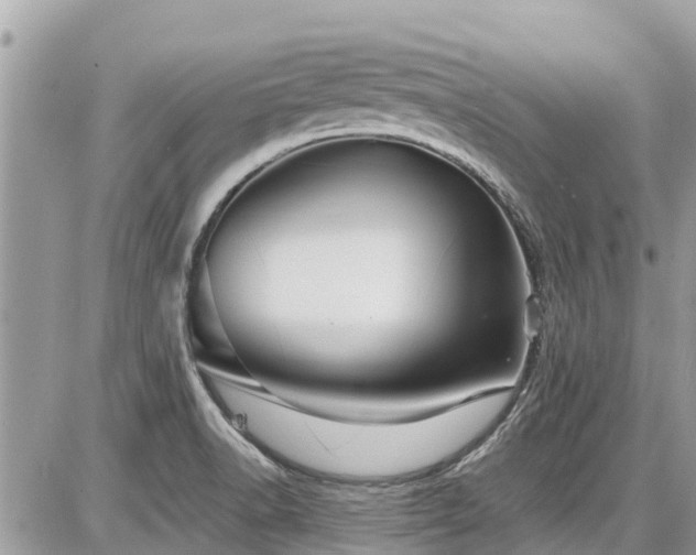 X0000086771518200704131128