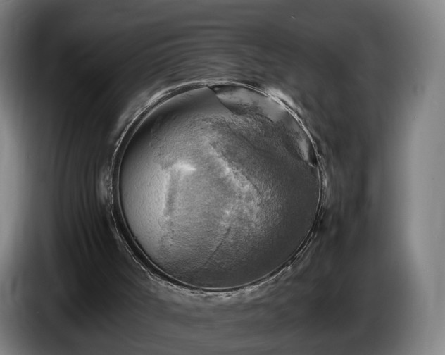 X0000086770002200704201814