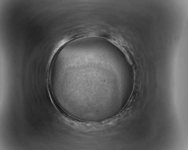X0000086770003200704201814