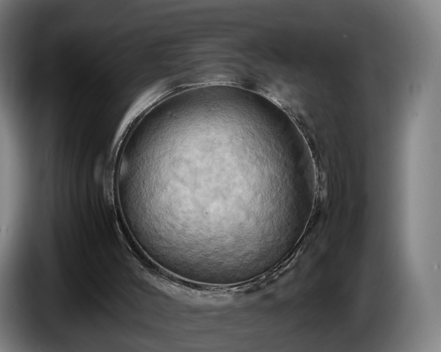 X0000086770004200704201813