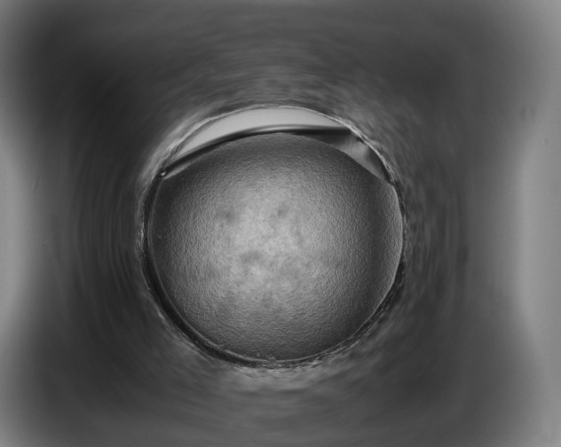 X0000086770005200704201813
