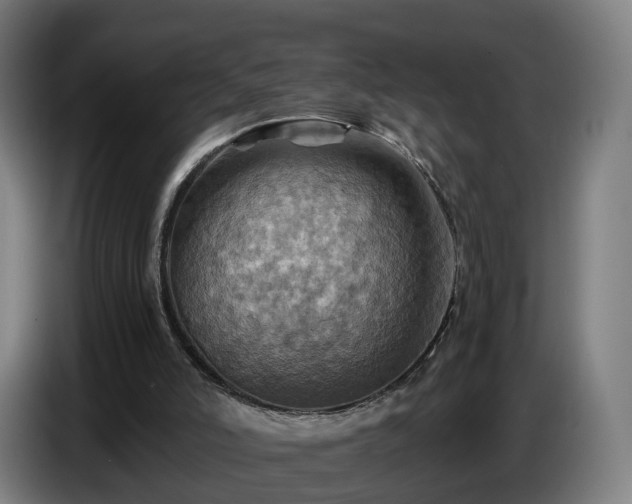 X0000086770006200704201813