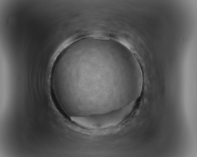 X0000086770007200704201813