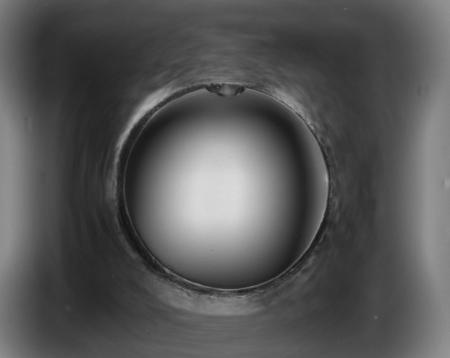 X0000086770008200704201813