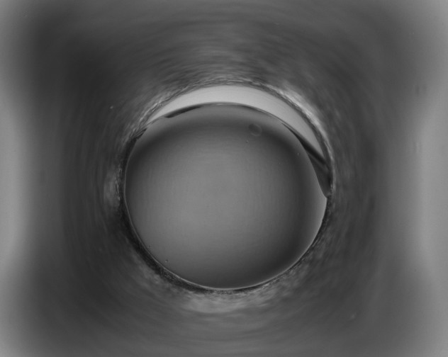 X0000086770009200704201813