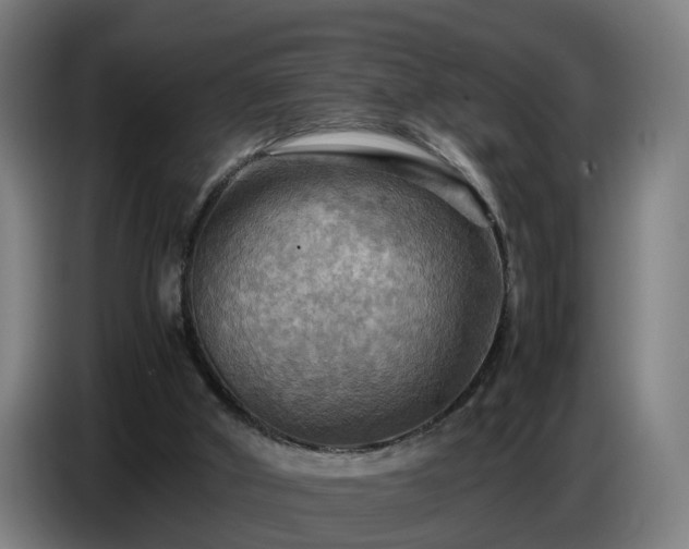 X0000086770010200704201813