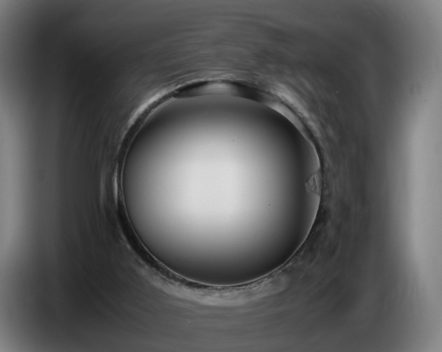 X0000086770011200704201813