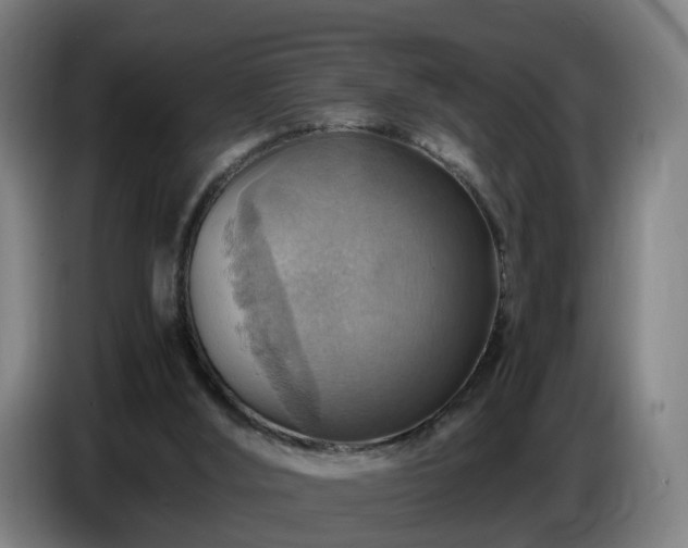X0000086770012200704201813