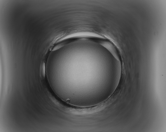 X0000086770013200704201813
