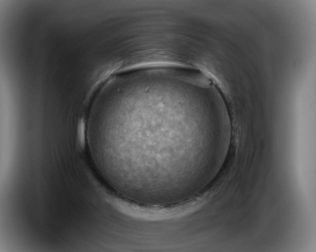 X0000086770014200704201813