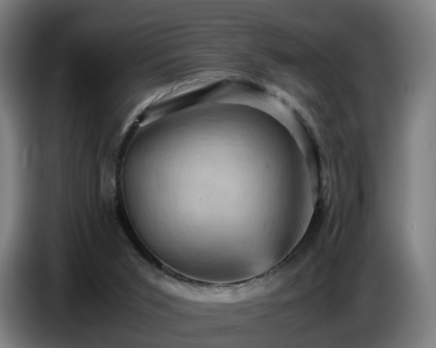X0000086770015200704201813