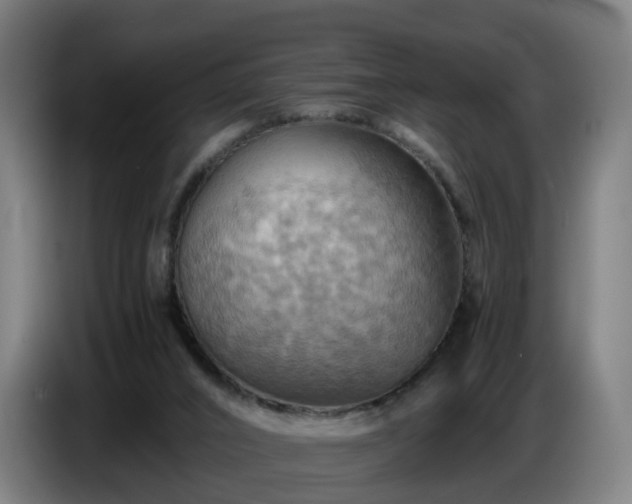 X0000086770016200704201813