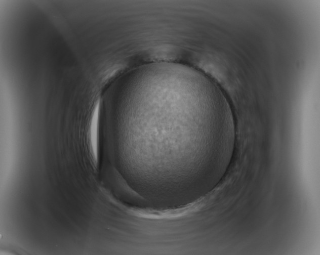 X0000086770017200704201813