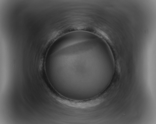 X0000086770018200704201813