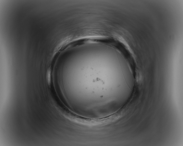 X0000086770019200704201813
