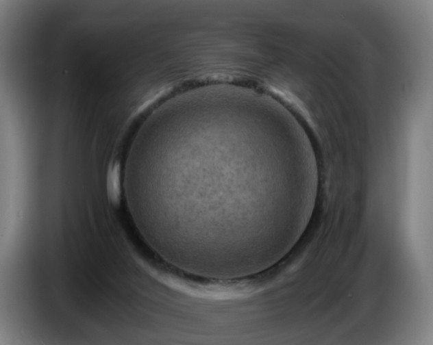 X0000086770020200704201813