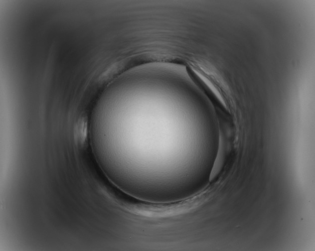 X0000086770021200704201813