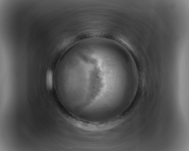 X0000086770022200704201813