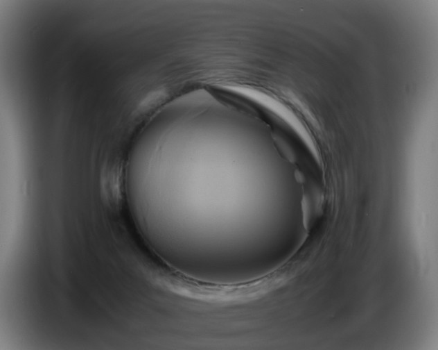 X0000086770023200704201813