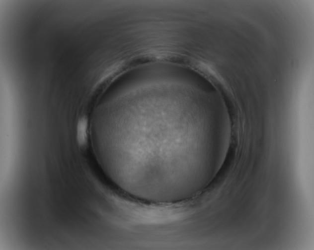 X0000086770024200704201813