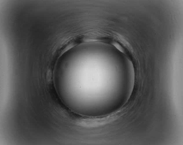 X0000086770025200704201813