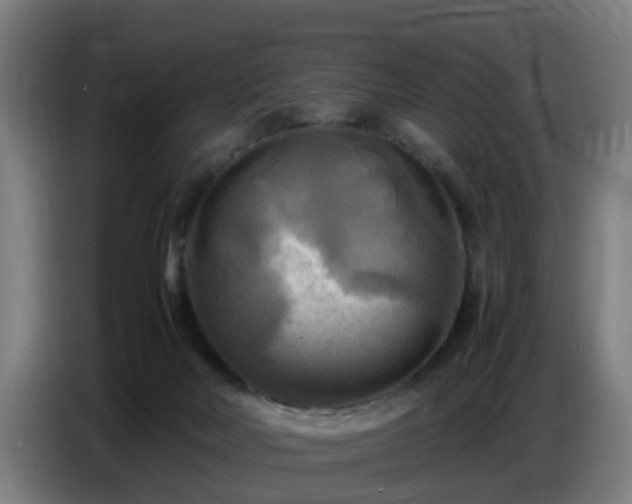 X0000086770026200704201813