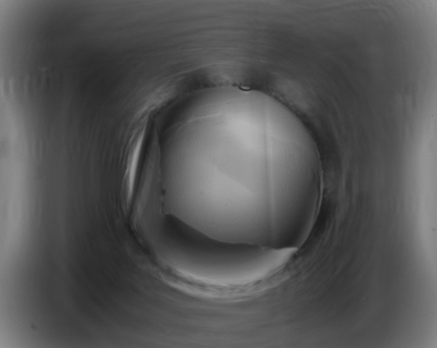 X0000086770027200704201813