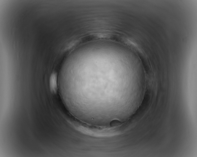 X0000086770028200704201813