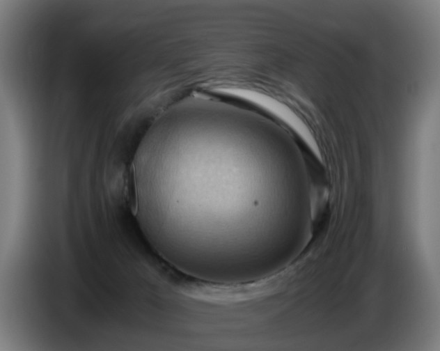 X0000086770029200704201813