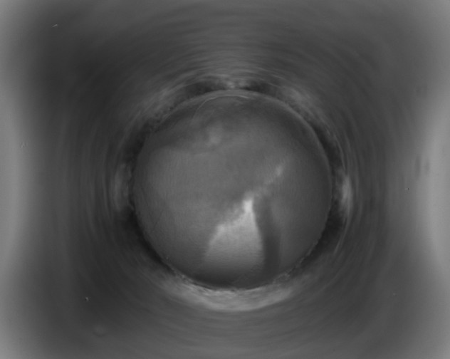 X0000086770030200704201813