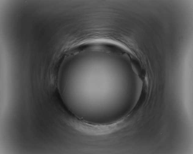X0000086770031200704201813