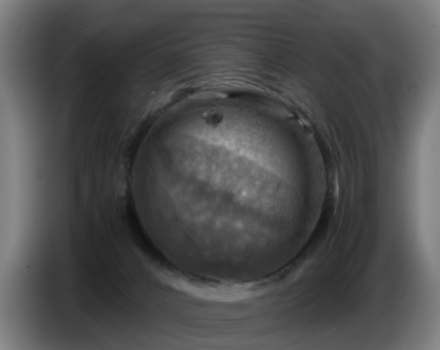 X0000086770032200704201813