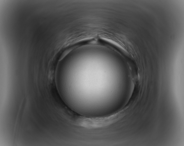 X0000086770033200704201813