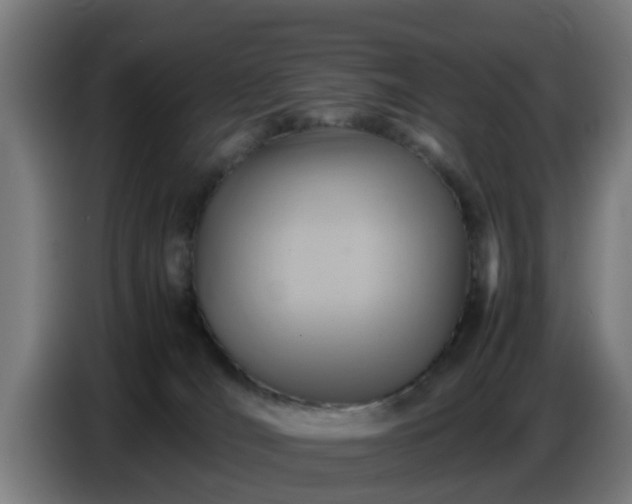 X0000086770036200704201813
